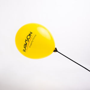 Balloon stick